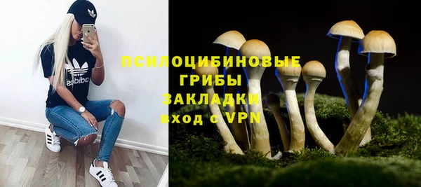 синтетический гашиш Богданович