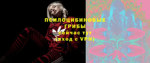 mix Богородицк