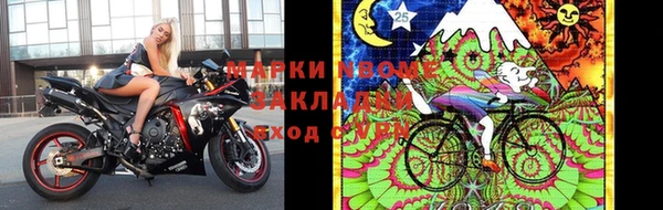 сатива Богородск