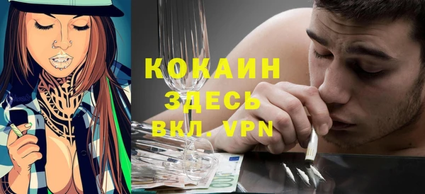 mix Богородицк