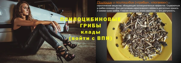 сатива Богородск