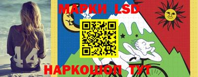 крисы Гай