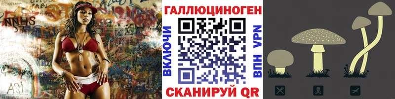 Галлюциногенные грибы Psilocybe  Сланцы 